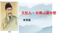 初中语文人教部编版九年级上册丑奴儿书博山道中壁示范课ppt课件
