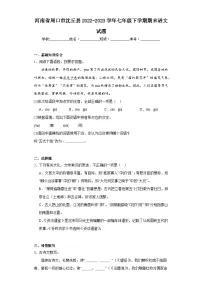 河南省周口市沈丘县2022-2023学年七年级下学期期末语文试题(含答案)