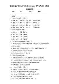 黑龙江省齐齐哈尔市拜泉县2022-2023学年七年级下学期期末语文试题（含答案）