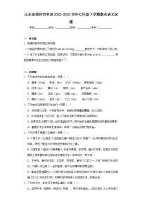 山東省菏澤市單縣2022-2023學(xué)年七年級(jí)下學(xué)期期末語文試題（含解析）