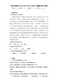 重庆市潼南区2022-2023学年八年级下学期期末语文试题（含答案）