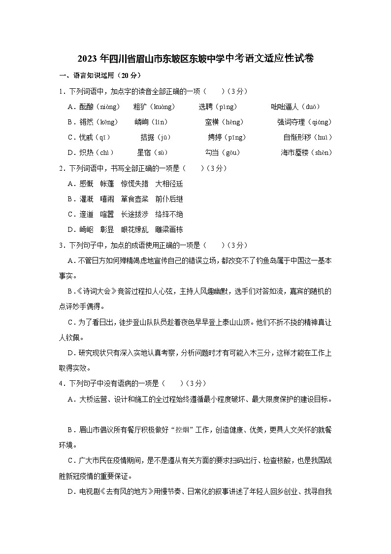 2023年四川省眉山市东坡区东坡中学中考适应性考试语文试卷01