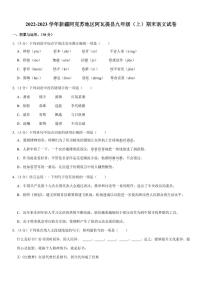 2022-2023学年新疆阿克苏地区阿瓦提县九年级（上）期末语文试卷