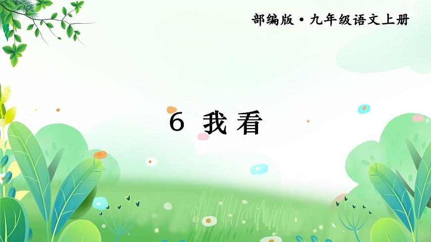 部編版九年級(jí)語(yǔ)文上冊(cè)第一單元學(xué)習(xí)鑒賞《我看》課件（定稿）第4頁(yè)