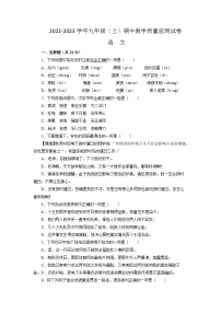 四川省绵阳市涪城区2022-2023学年九年级上学期11月期中语文试题
