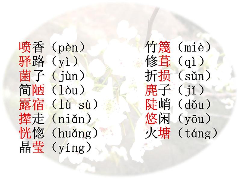驿路梨花内容全面课件PPT第4页
