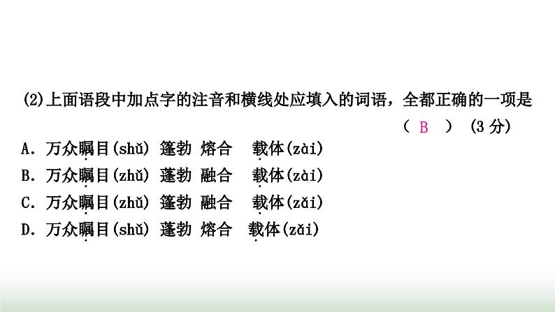 中考语文复习积累与运用9新考法引领训练一语段综合主题任务群作业课件第5页