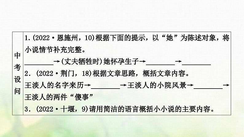 中考语文复习现代文阅读2专题十三课时二小说阅读教学课件03