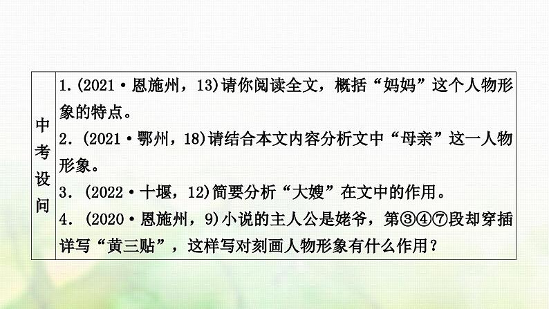 中考语文复习现代文阅读2专题十三课时二小说阅读教学课件08