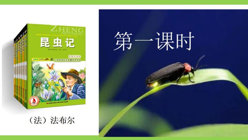 【核心素养】部编版初中语文八年级上册八上第五单元名著导读《昆虫记》（课件+教案+测试）04