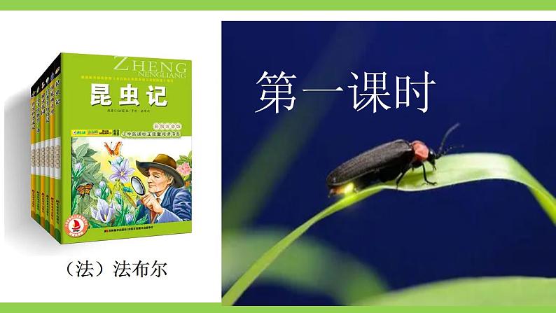 【核心素养】部编版初中语文八年级上册八上第五单元名著导读《昆虫记》(课件+教案+测试)04