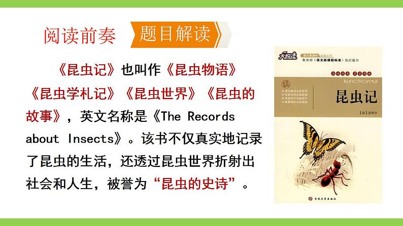 【核心素养】部编版初中语文八年级上册八上第五单元名著导读《昆虫记》(课件+教案+测试)05