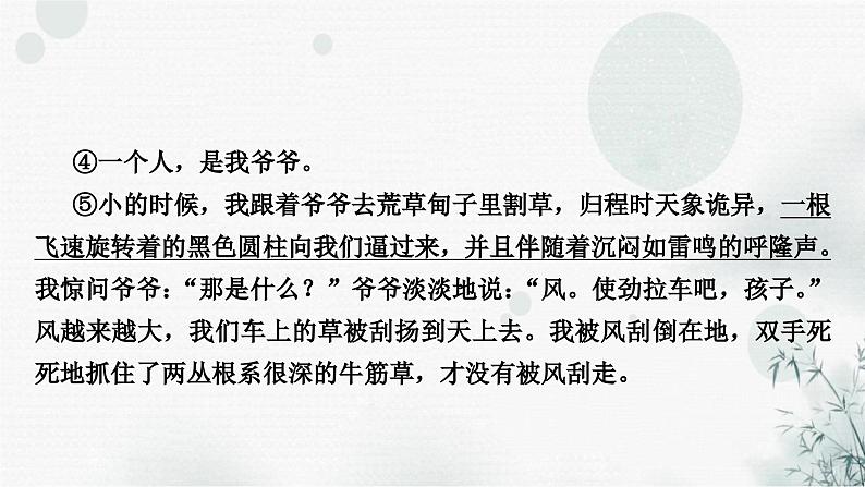 中考语文复习散文阅读第4课时拓展延伸,表达观点作业课件第4页