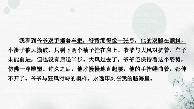 中考语文复习散文阅读第4课时拓展延伸,表达观点作业课件第5页