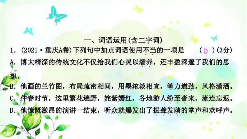 中考语文复习知识及运用专题二词语的理解与运用教学课件02