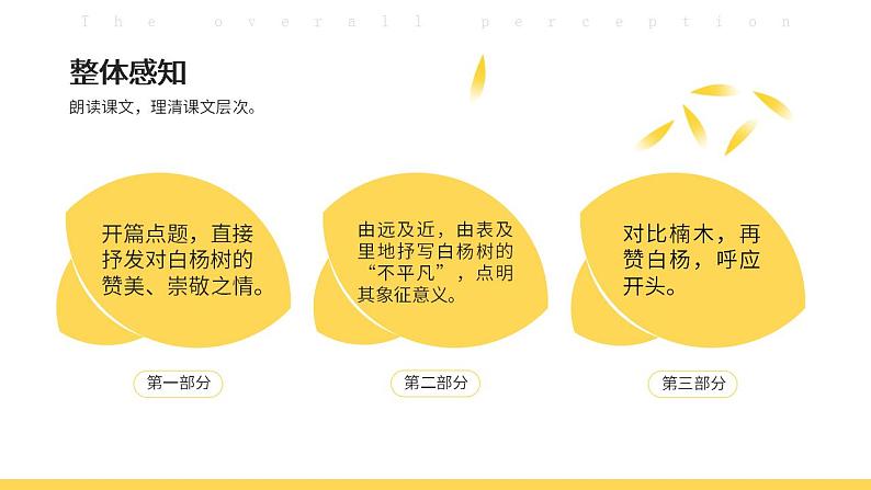 人教部编版语文八年级上册 15 白杨礼赞 课件08