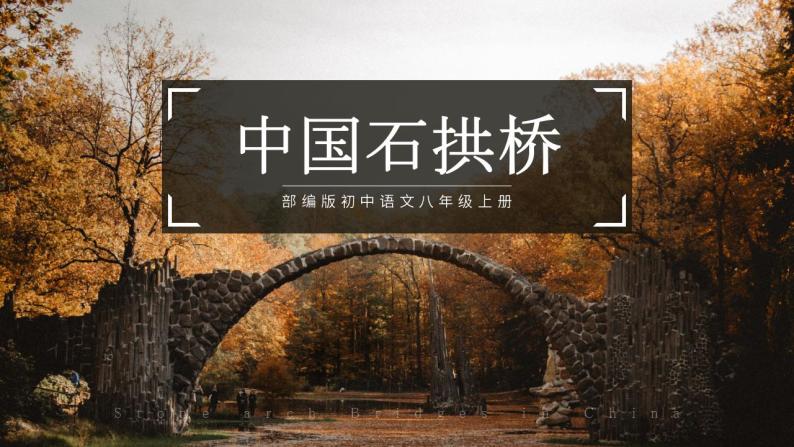 人教部编版语文八年级上册 18 中国石拱桥 课件01
