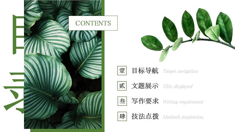 人教部编版语文八年级上册 写作-说明事物要抓住特征 课件02