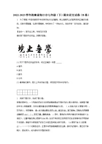 2022-2023学年海南省海口市七年级（下）期末语文试卷（B卷）