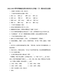 2022-2023學(xué)年河南省安陽市林州市七年級（下）期末語文試卷（含解析）