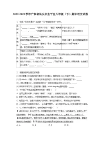 广东省汕头市金平区2022-2023学年八年级下学期期末语文试卷(含答案)