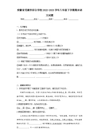 安徽省芜湖市部分学校2022-2023学年八年级下学期期末语文试题（含答案）