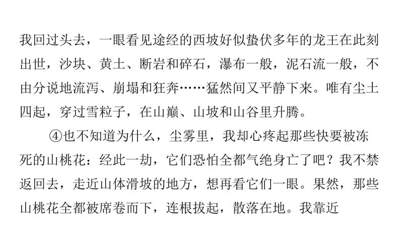 人教版初中语文八年级下册专题十文学类文本阅读课件05
