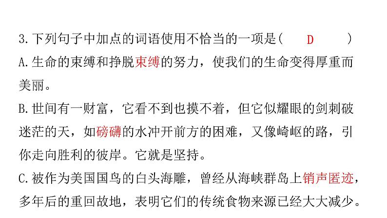 人教版初中语文八年级下册专题三词语运用课件第6页