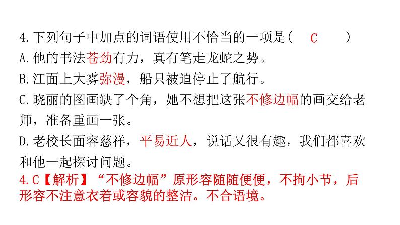 人教版初中语文八年级下册专题三词语运用课件第8页