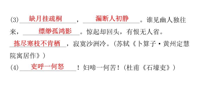 人教版初中语文八年级下册过关训练四课件03