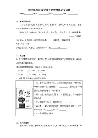 2023年浙江省宁波市中考模拟语文试题(含解析)