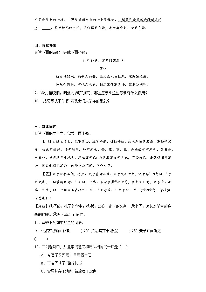 山东省临沂市罗庄区2022-2023学年八年级下学期期末语文试题(含答案)第3页