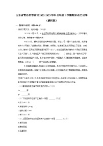 山东省青岛市市南区2022-2023学年七年级下学期期末语文试卷（含答案）