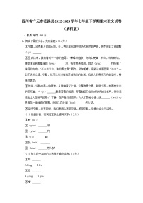 四川省广元市苍溪县2022-2023学年七年级下学期期末语文试卷（含答案）