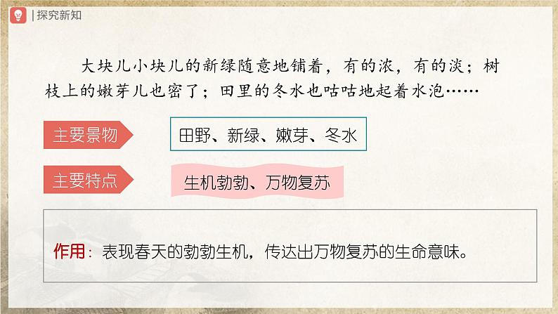 【部编版】七上语文 6《散步》(第2课时)(课件+教案+学案)04