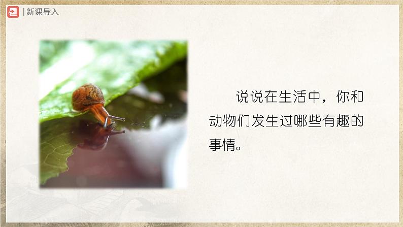 【部编版】七上语文  17《动物笑谈》(第2课时)(课件+教案+学案)02