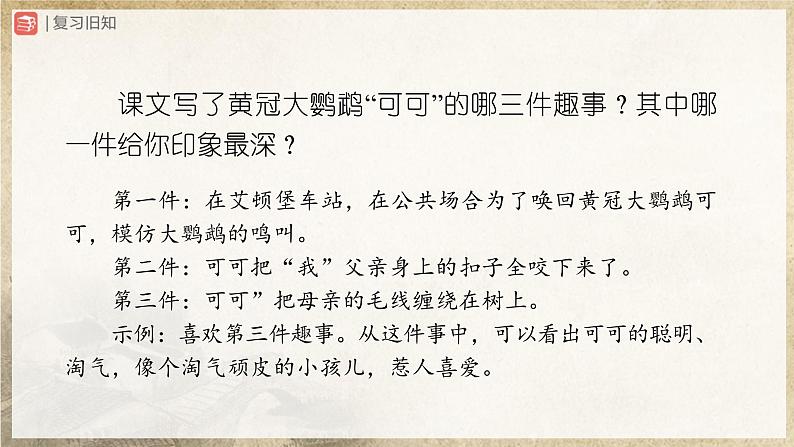 【部编版】七上语文  17《动物笑谈》(第2课时)(课件+教案+学案)03