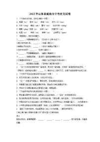2023年山东省威海市中考语文试卷（含答案解析）