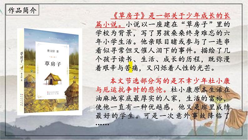 第17课《孤独之旅》(课件)第3页