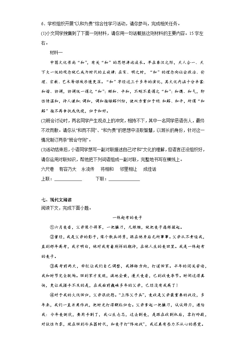 河南省洛阳市嵩县2022-2023学年八年级下学期期末语文试题(含答案)03