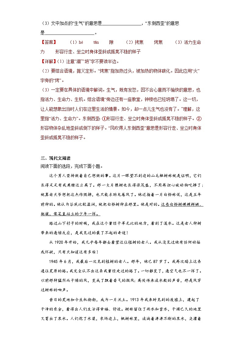 13.植树的牧羊人-2023-2024学年七年级语文上册同步练习(解析版)第3页