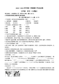 河北省邯郸市鸡泽县2022-2023学年七年级下学期期中语文试题（含答案）