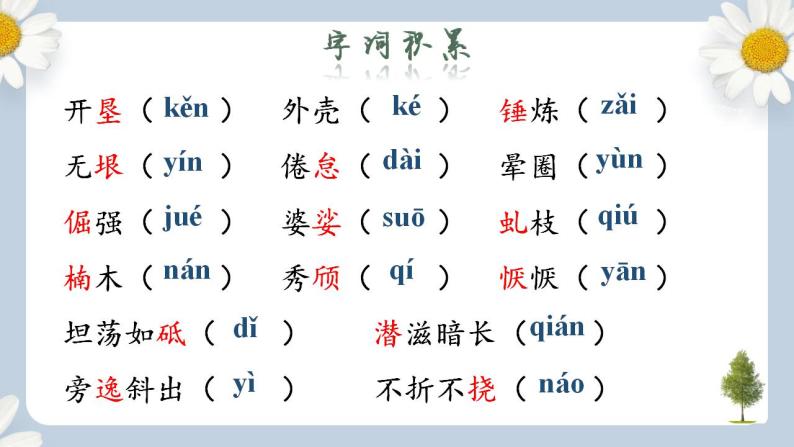 【核心素养目标】人教部编版初中语文八年级上册 《白杨礼赞》第一课时课件+教案+同步分层练习（含答案）06