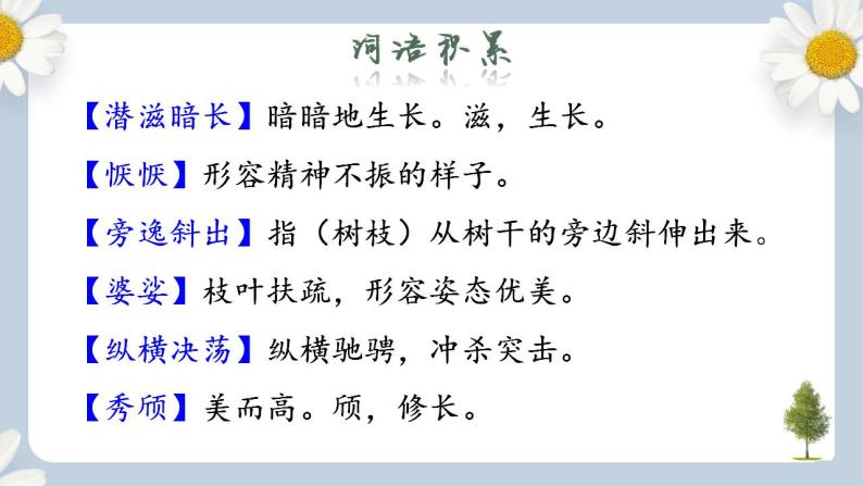 【核心素养目标】人教部编版初中语文八年级上册 《白杨礼赞》第一课时课件+教案+同步分层练习（含答案）08