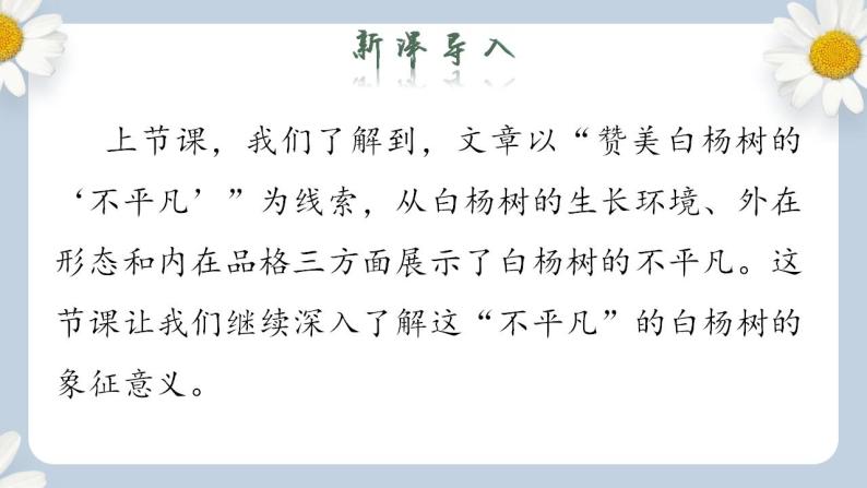 【核心素养目标】人教部编版初中语文八年级上册 《白杨礼赞》第二课时课件+教案+同步分层练习（含答案）02