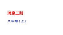 人教部编版八年级上册我三十万大军胜利南渡长江课前预习ppt课件