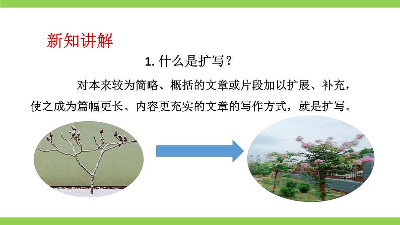 【核心素养】部编版初中语文九下第一单元写作《学习扩写》(课件+教案)04