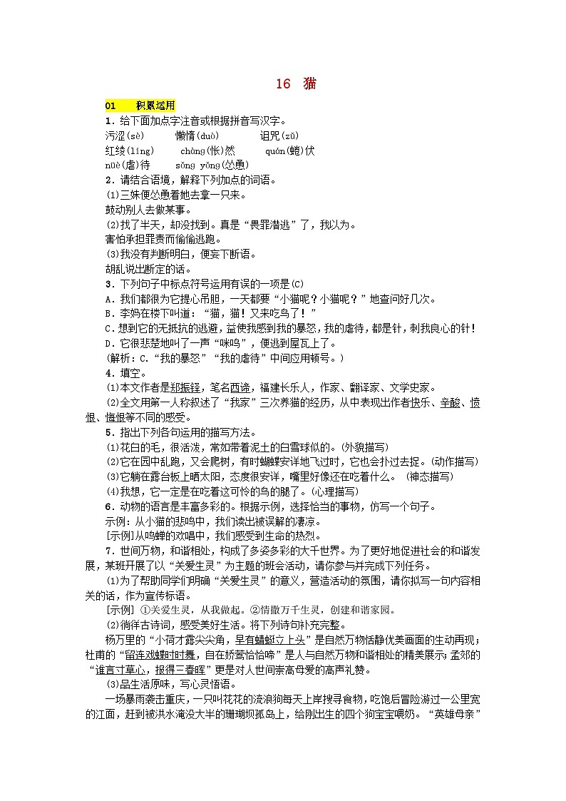 部编版七年级语文上册 第5单元 16猫 课堂练习(含答案)第1页