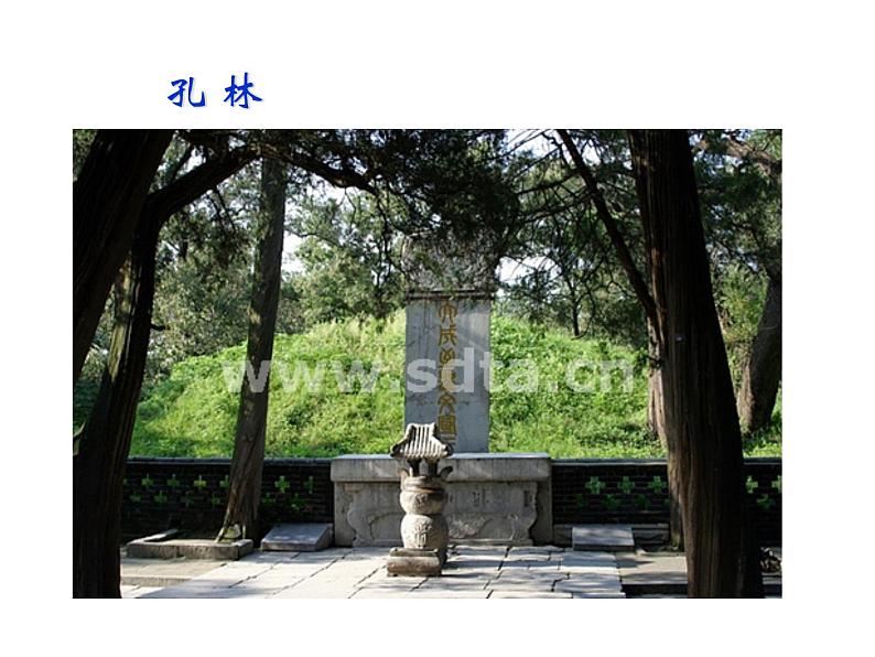 部编版七年级语文上册--11《论语》十二章(精品课件)第5页