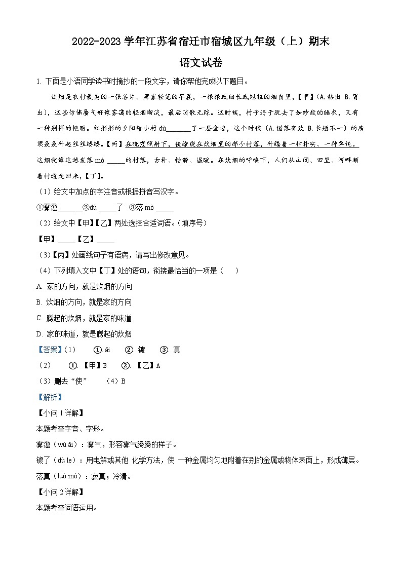 江苏省宿迁市宿城区2022-2023学年九年级上学期期末语文试题(解析版)01